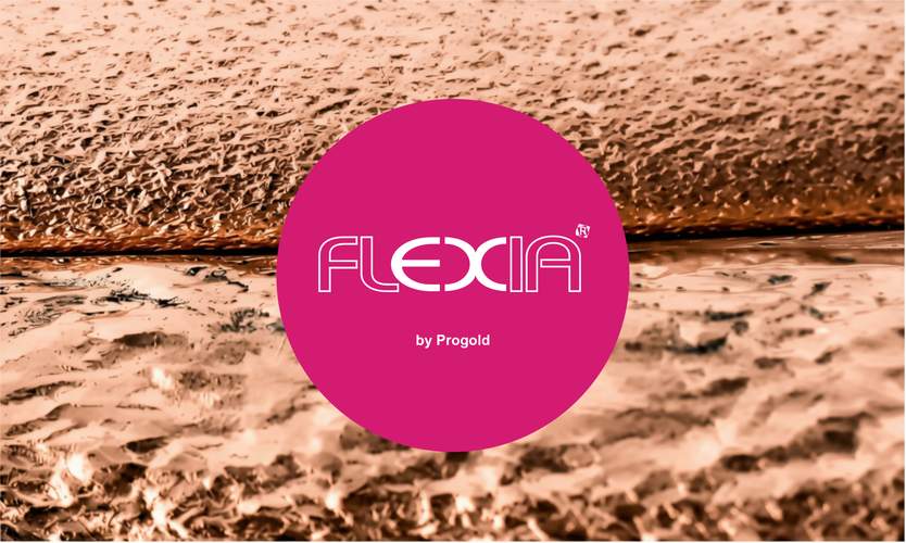 FLEXIA